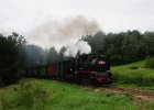 2020.08.05 JHMD U46.101 Jindřichův Hradec - Nová Bystřice (4)